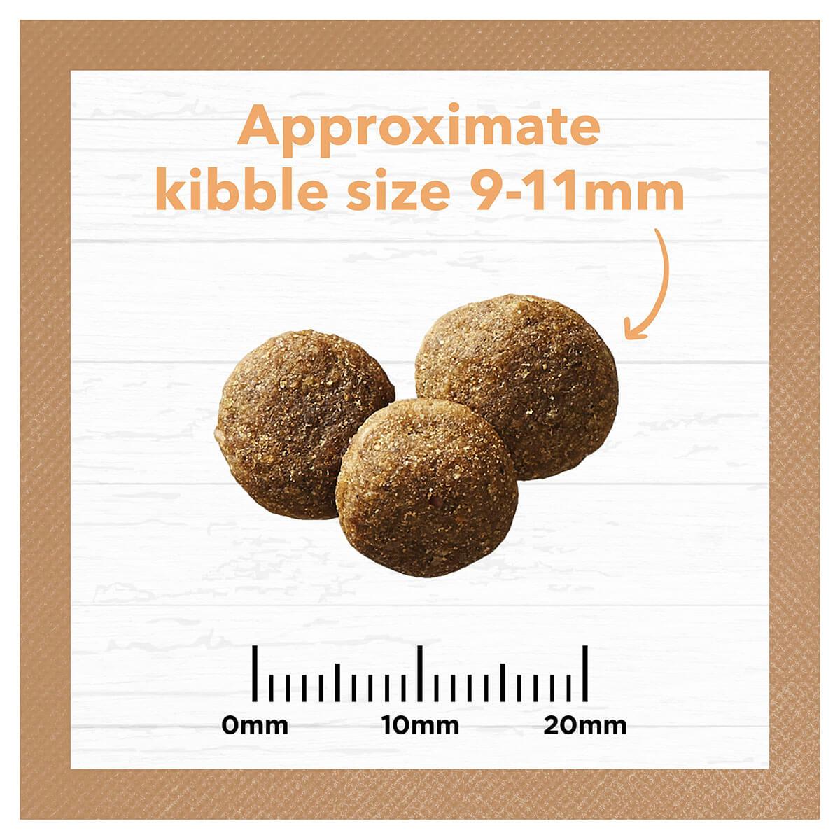 Ivory Coat Grain Free Puppy Chicken Dry Dog Food