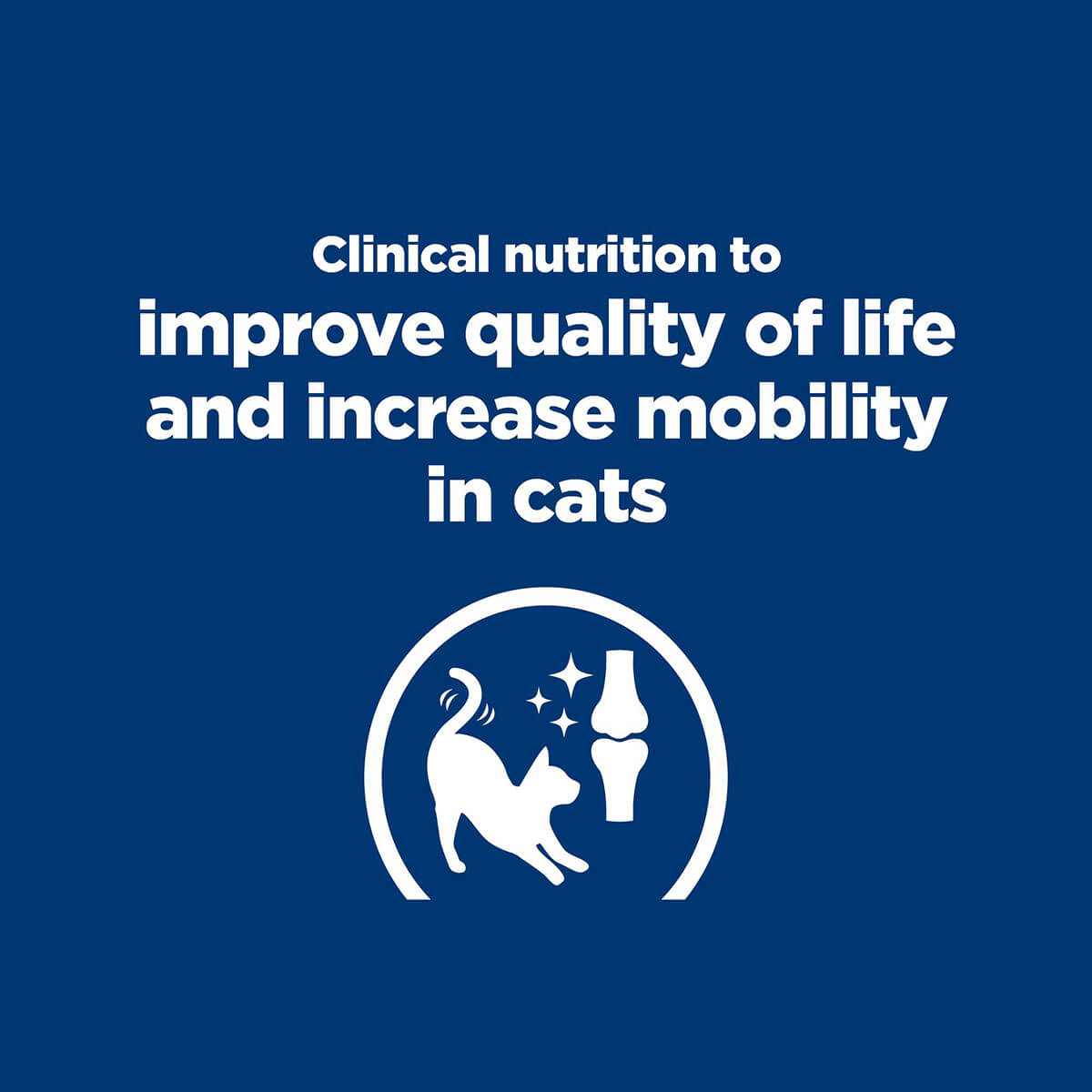 Hill's Prescription Diet K/D + J/D Kidney & Mobility Dry Cat Food