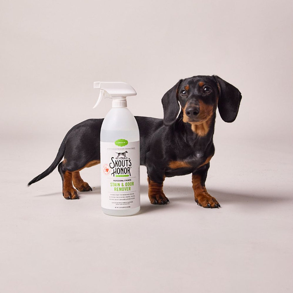 Skouts Honor Stain & Odor Remover for Dogs