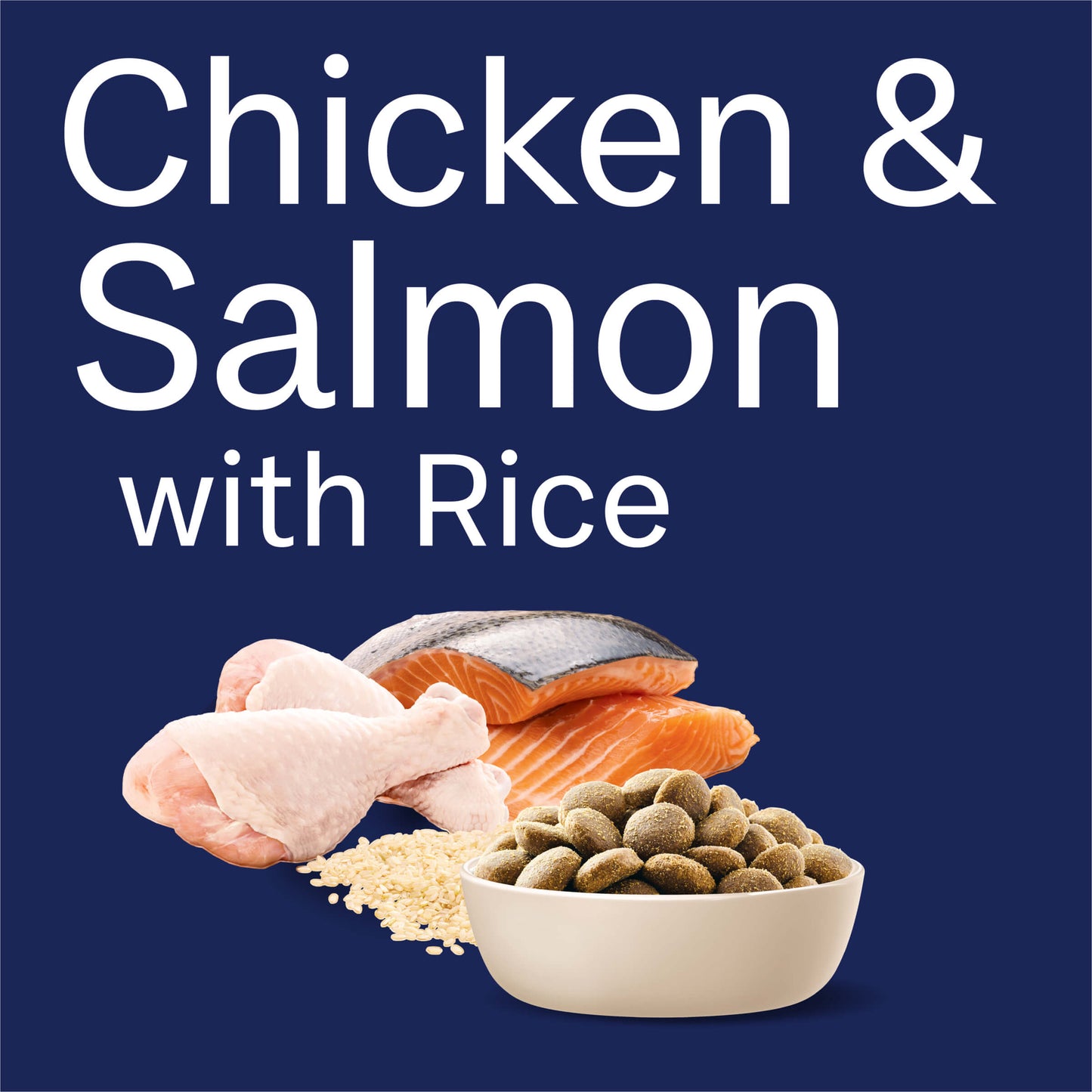 Advance Retriever Dry Dog Food Chicken And Salmon