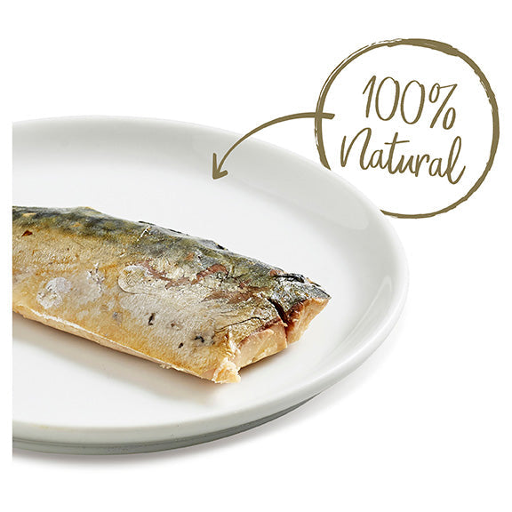 Applaws Mackerel Loin Cat Treats 30g