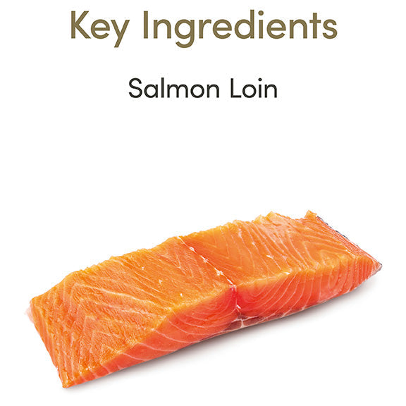 Applaws Salmon Loin Cat Treats 25g