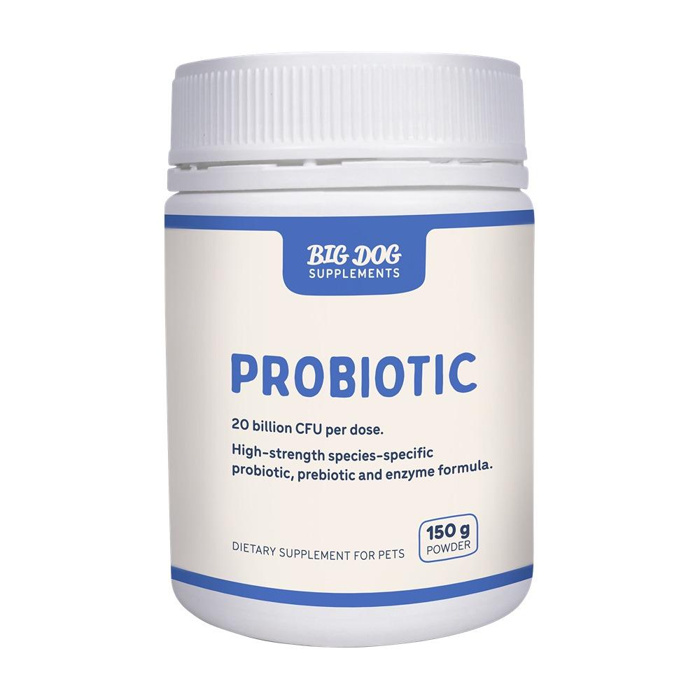 Big Dog Probiotics for Dogs