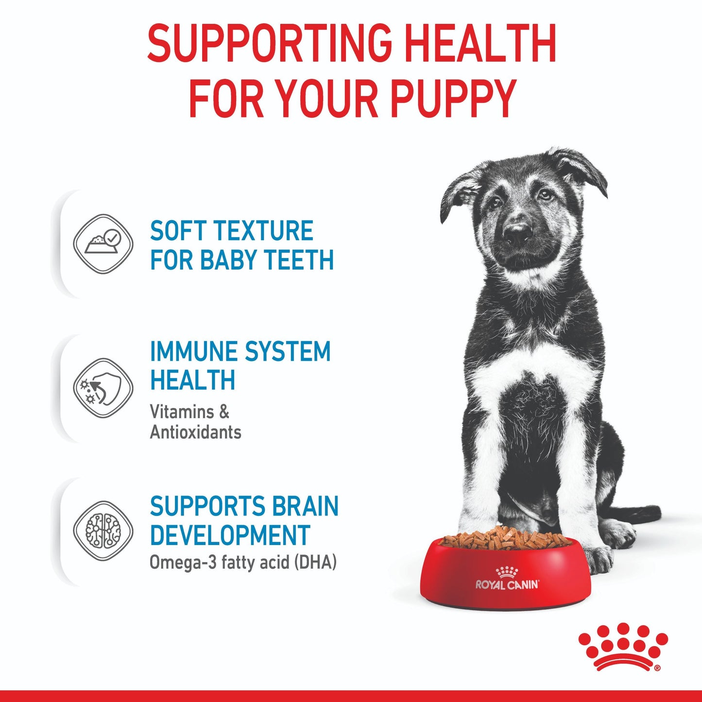 Royal Canin Maxi Breed Puppy Wet Dog Food