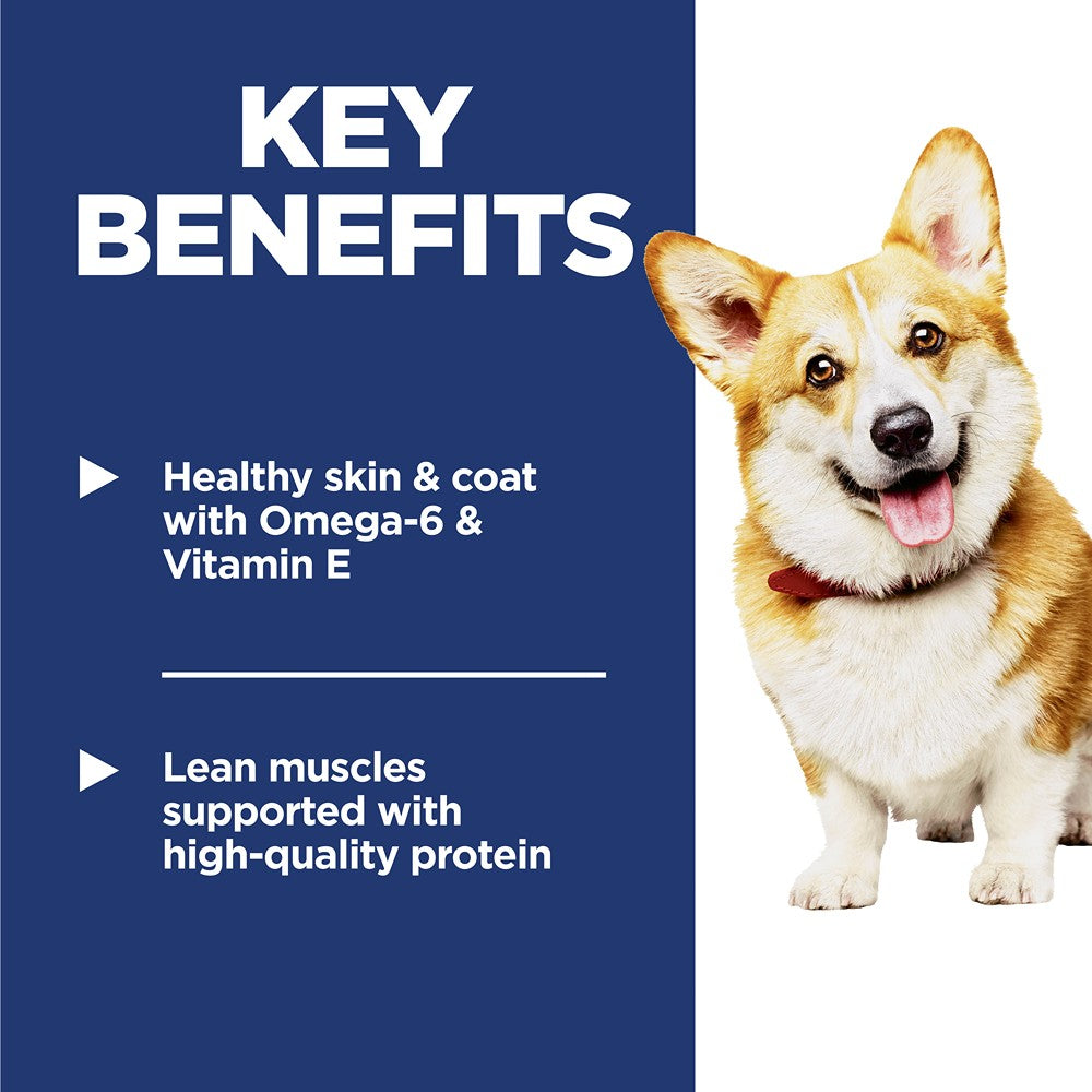 Hill's Science Diet Small Bites Adult Dry Dog Food
