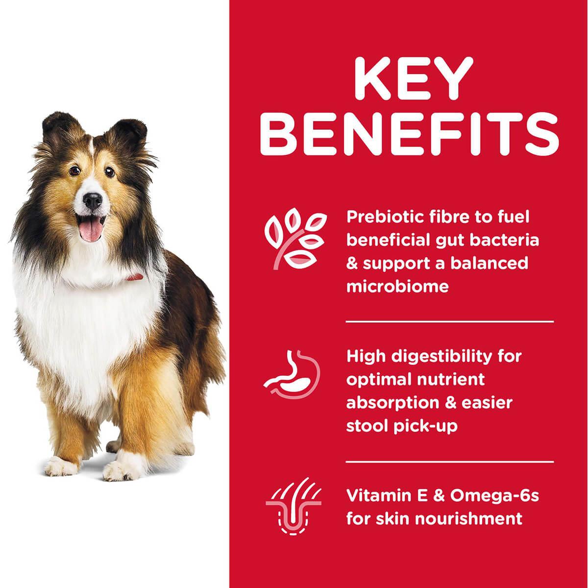 Hill's Science Diet Sensitive Stomach & Skin Adult Dry Dog Food