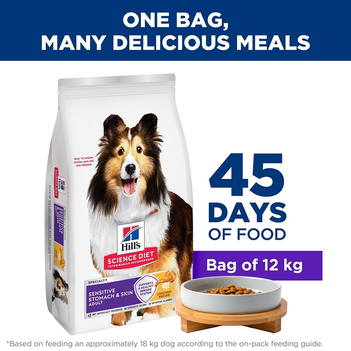 Hill's Science Diet Sensitive Stomach & Skin Adult Dry Dog Food