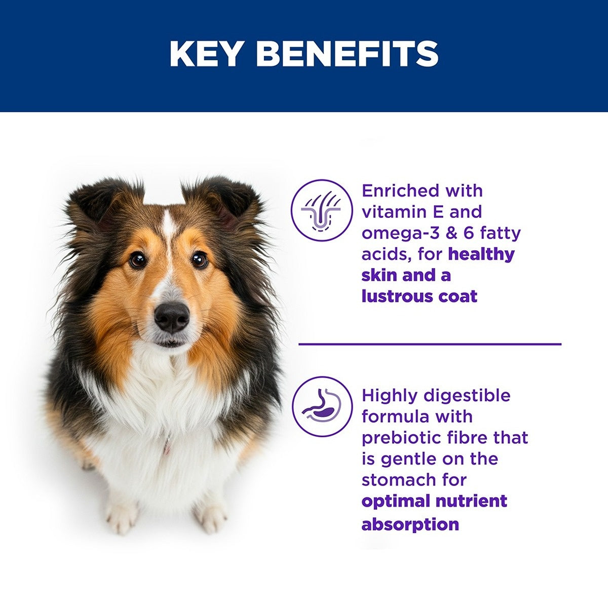 Hill's Science Diet Sensitive Stomach & Skin Adult Dry Dog Food