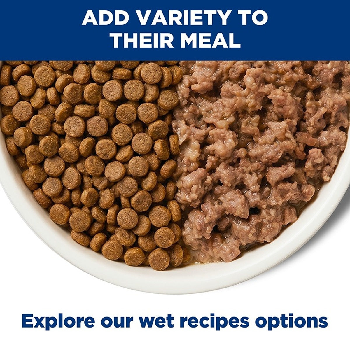 Hill's Science Diet Sensitive Stomach & Skin Adult Dry Dog Food