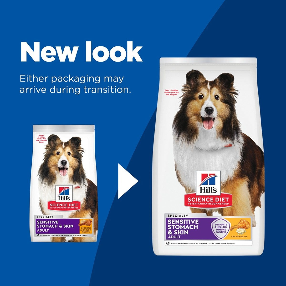 Hill's Science Diet Sensitive Stomach & Skin Adult Dry Dog Food