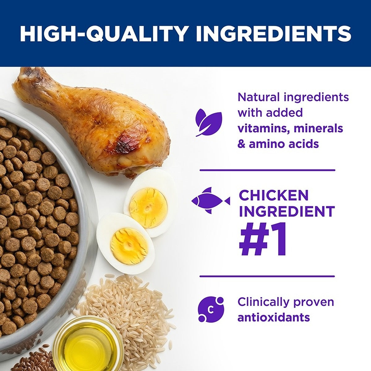 Hill's Science Diet Sensitive Stomach & Skin Adult Dry Dog Food
