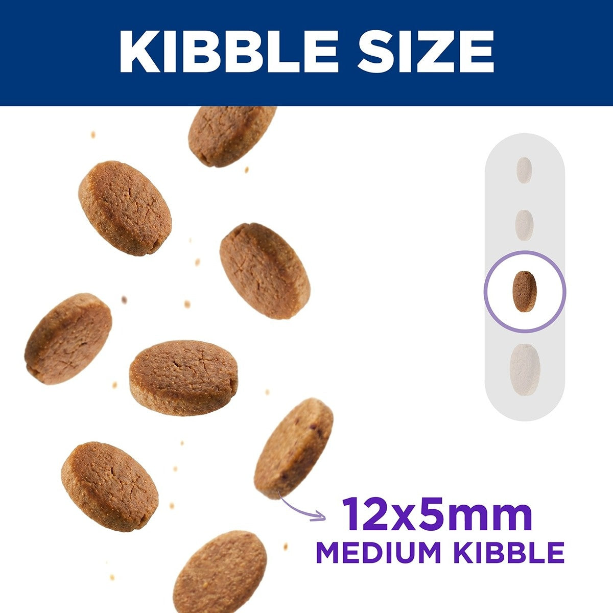 Hill's Science Diet Sensitive Stomach & Skin Adult Dry Dog Food