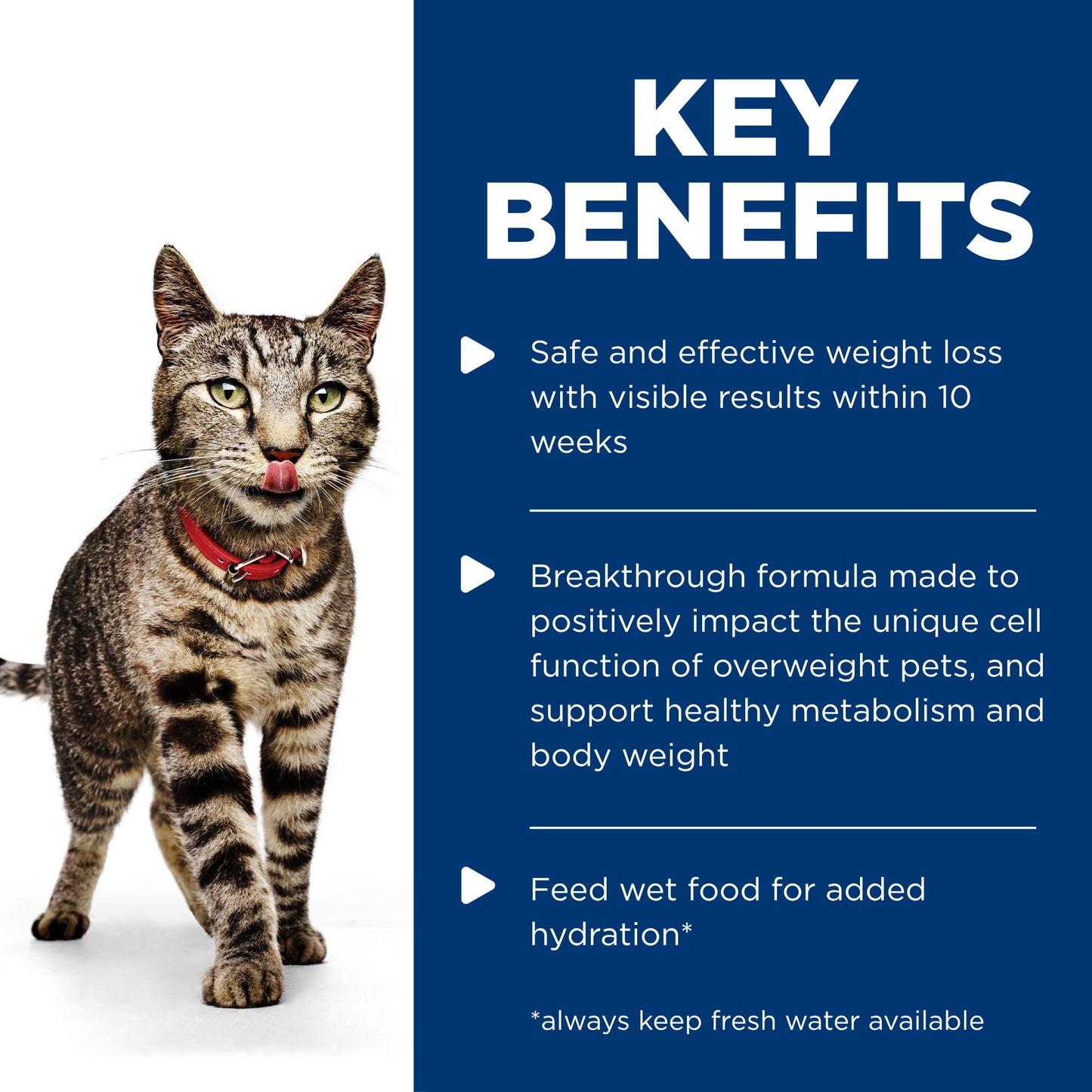 Hill's Science Diet Perfect Weight Adult Salmon Wet Food 85g
