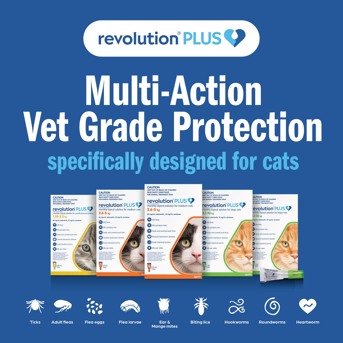 Revolution Plus Large Cat 5.1-10kg Flea, Tick & Worm Spot-On Treatment