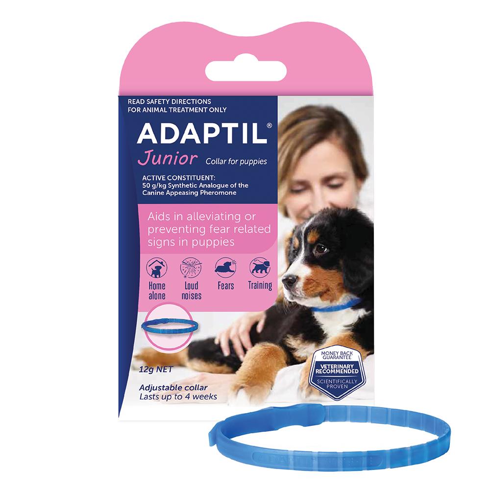 Adaptil Junior Collar