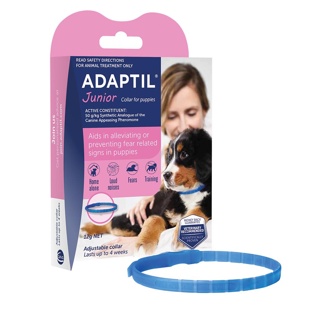 Adaptil Junior Collar