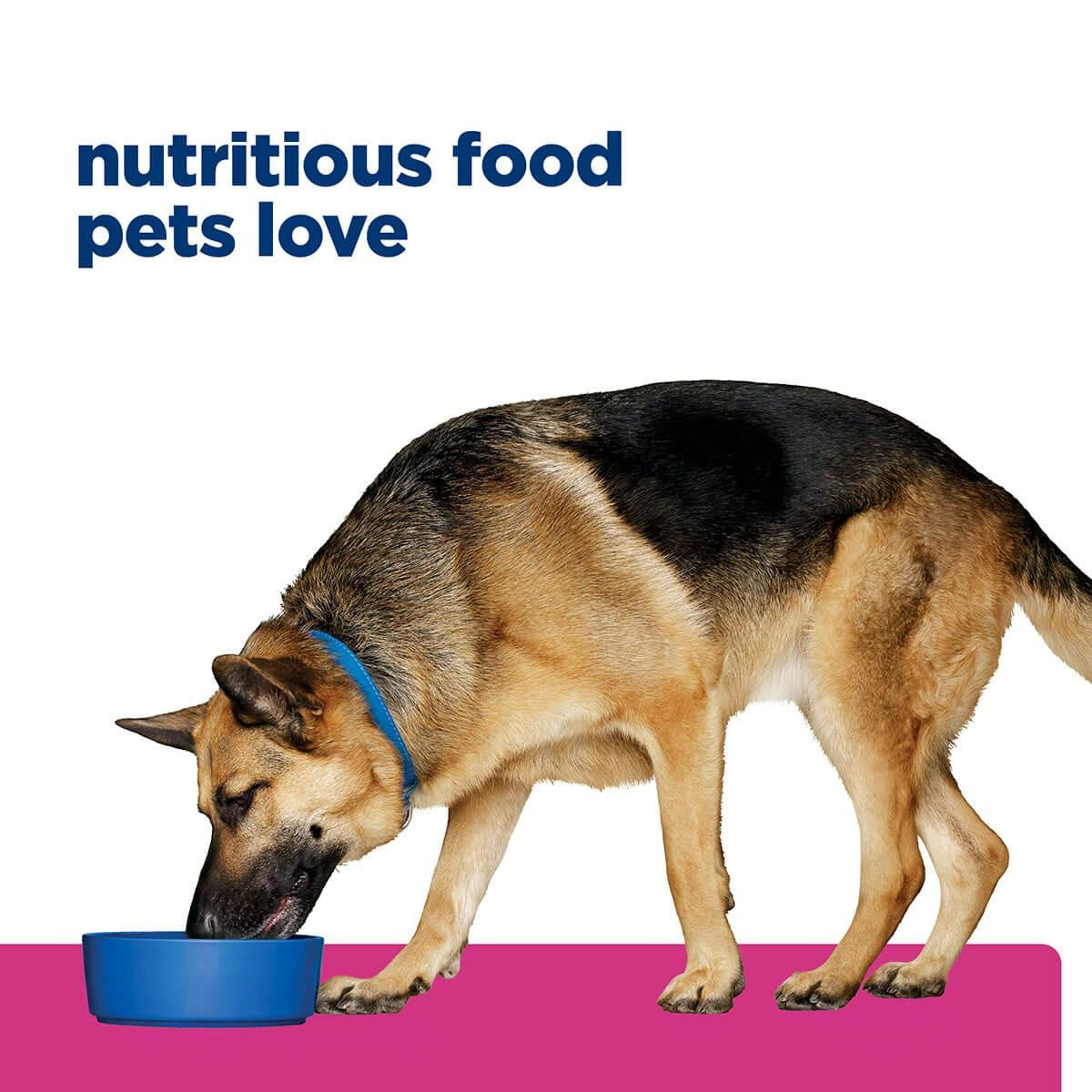 Hill's Prescription Diet Gastrointestinal Biome Care Dry Dog Food