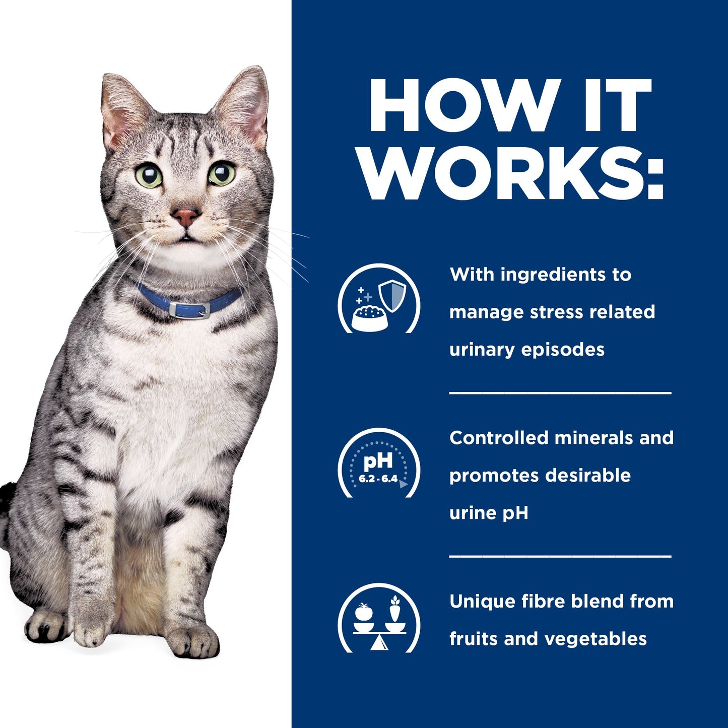 Hill's Prescription Diet C/D Stress Urinary & Metabolic Weight Care Chicken Wet Cat Food