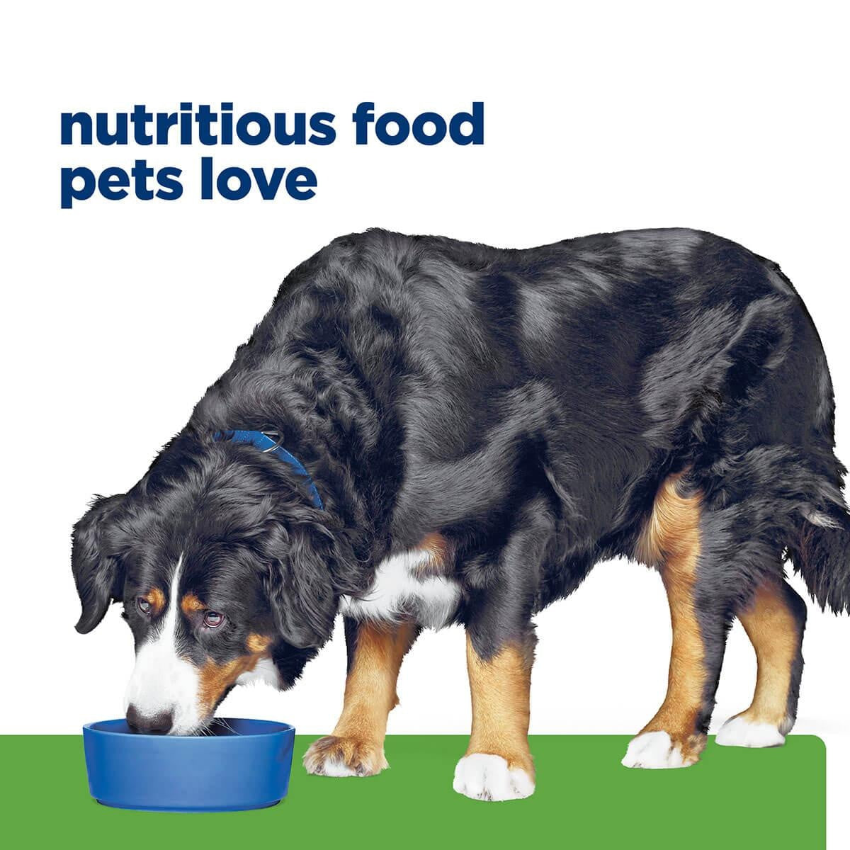 Hill's Prescription Diet J/D Metabolic Weight & Mobility Care Dry Dog Food