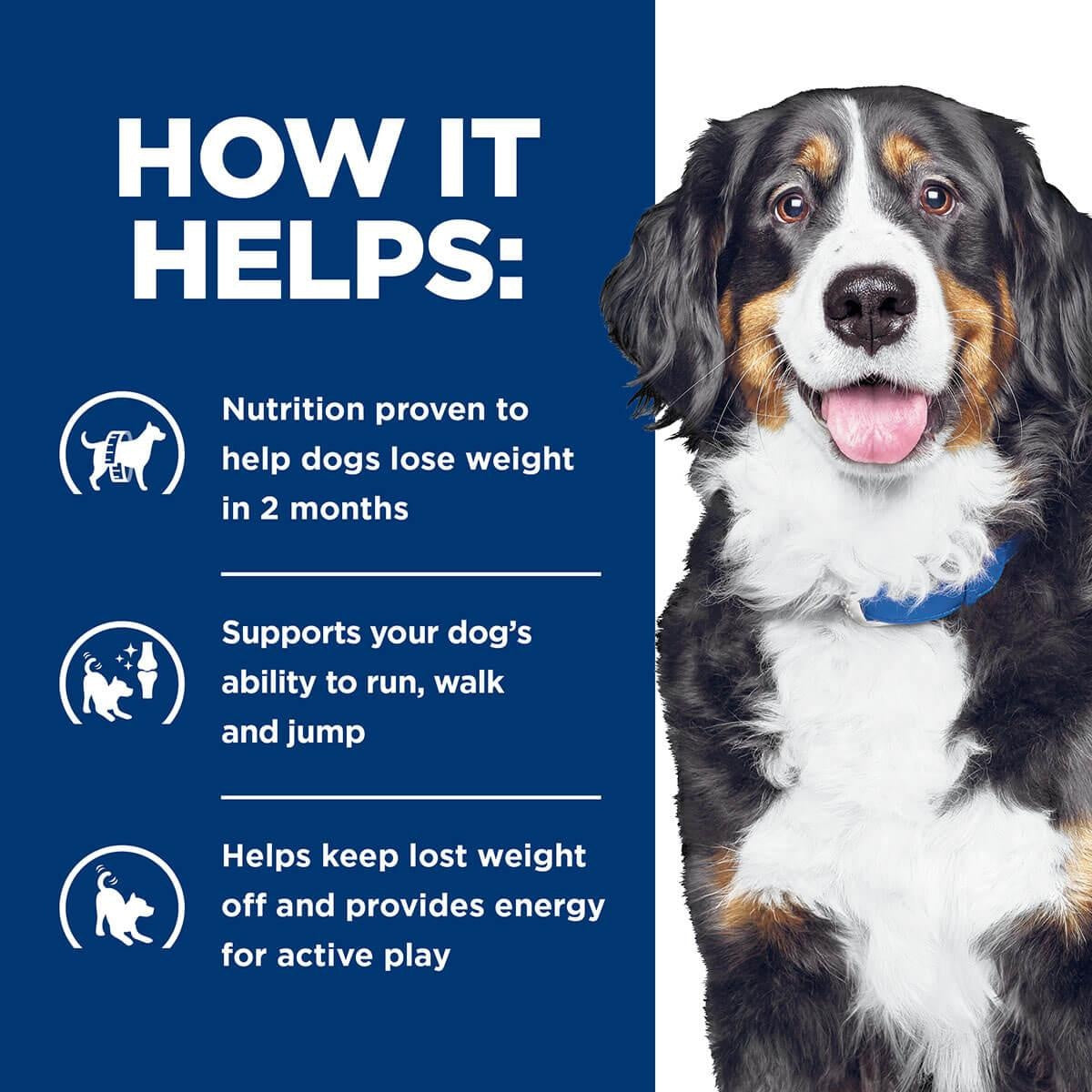 Hill's Prescription Diet J/D Metabolic Weight & Mobility Care Dry Dog Food
