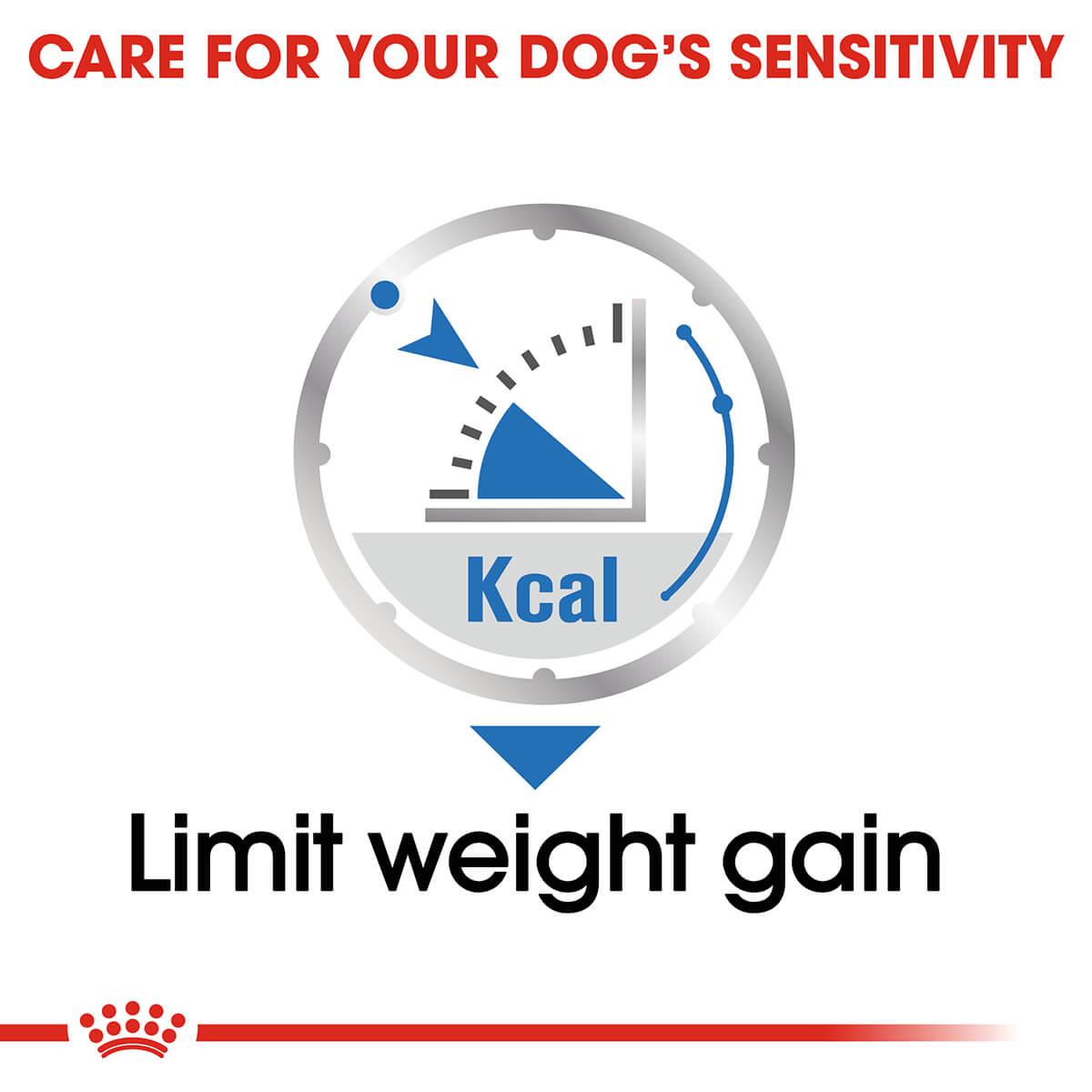 Royal Canin Light Weight Care Loaf Adult Wet Dog Food