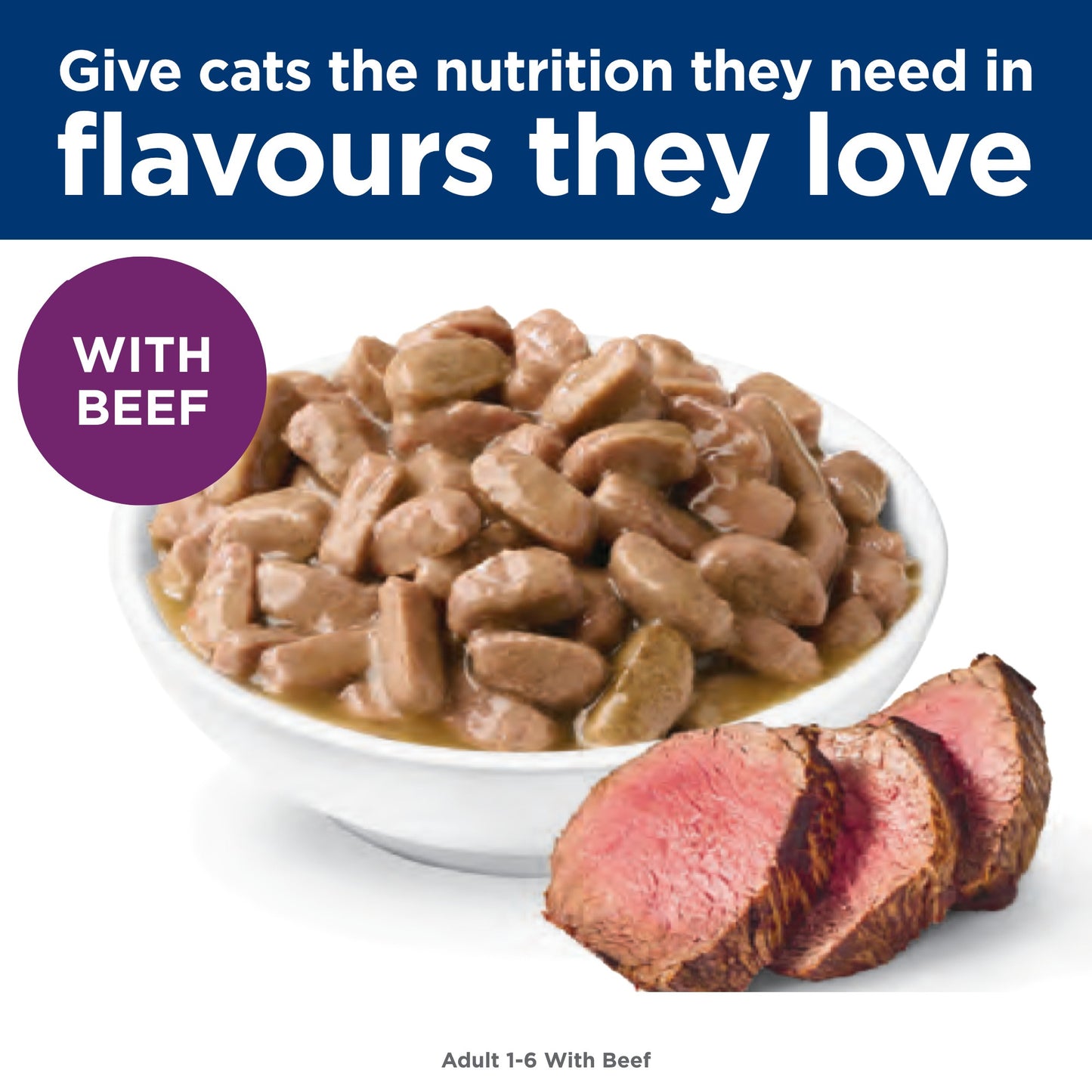 Hill's Science Diet Adult Beef Wet Cat Food 85g