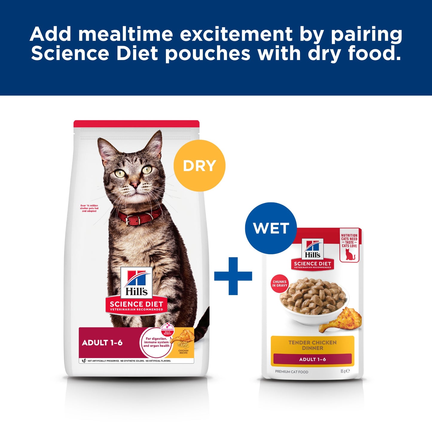 Hill's Science Diet Adult Beef Wet Cat Food 85g