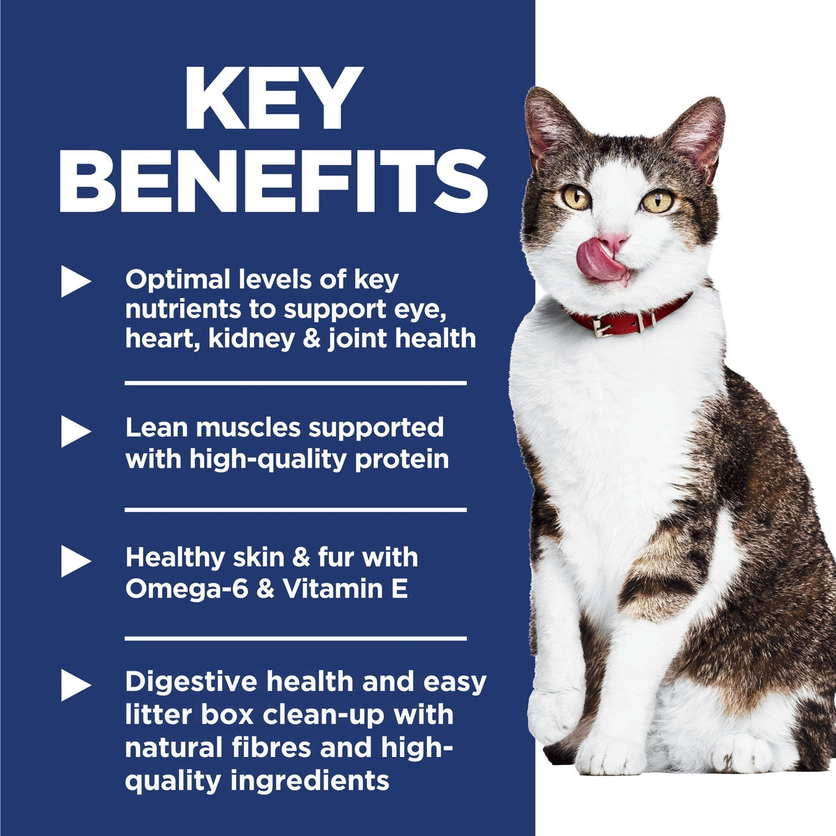 Hill's Science Diet Indoor 11+ Senior Dry Cat Food