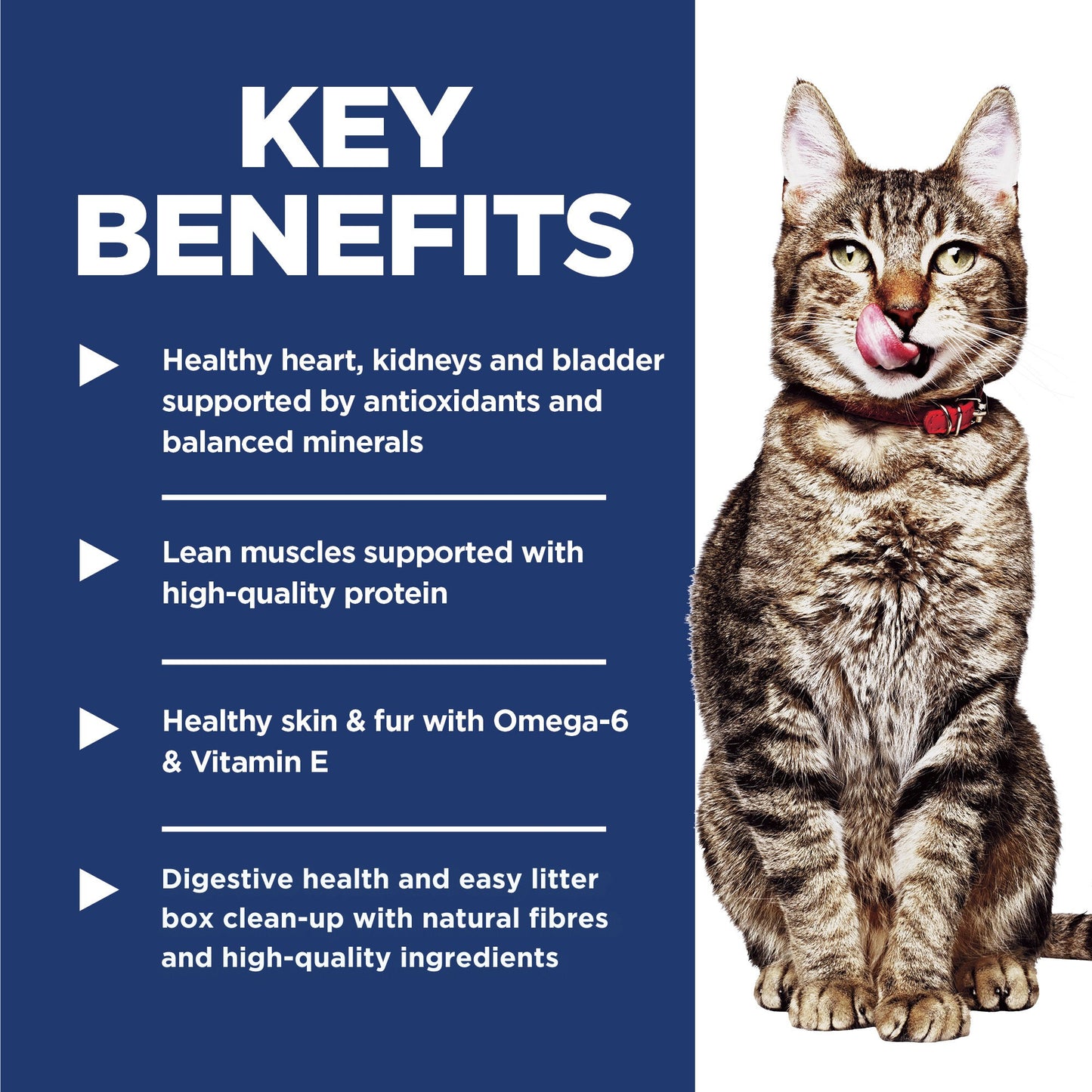 Hill's Science Diet Indoor 7+ Adult Dry Cat Food