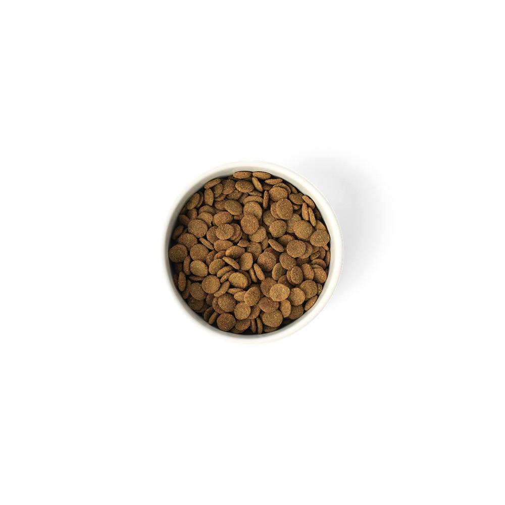 Savourlife Grain Free Adult Turkey Lean Dry Dog Food