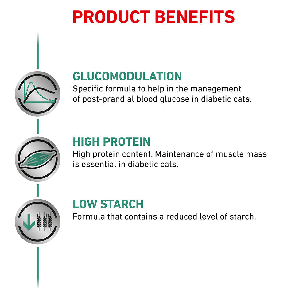 Royal Canin Veterinary Diabetic Wet Cat Food
