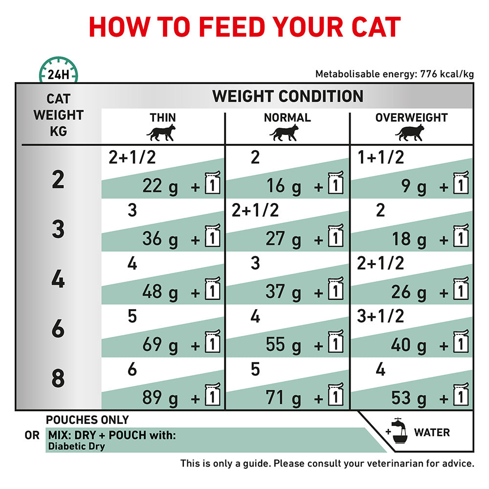 Royal Canin Veterinary Diabetic Wet Cat Food