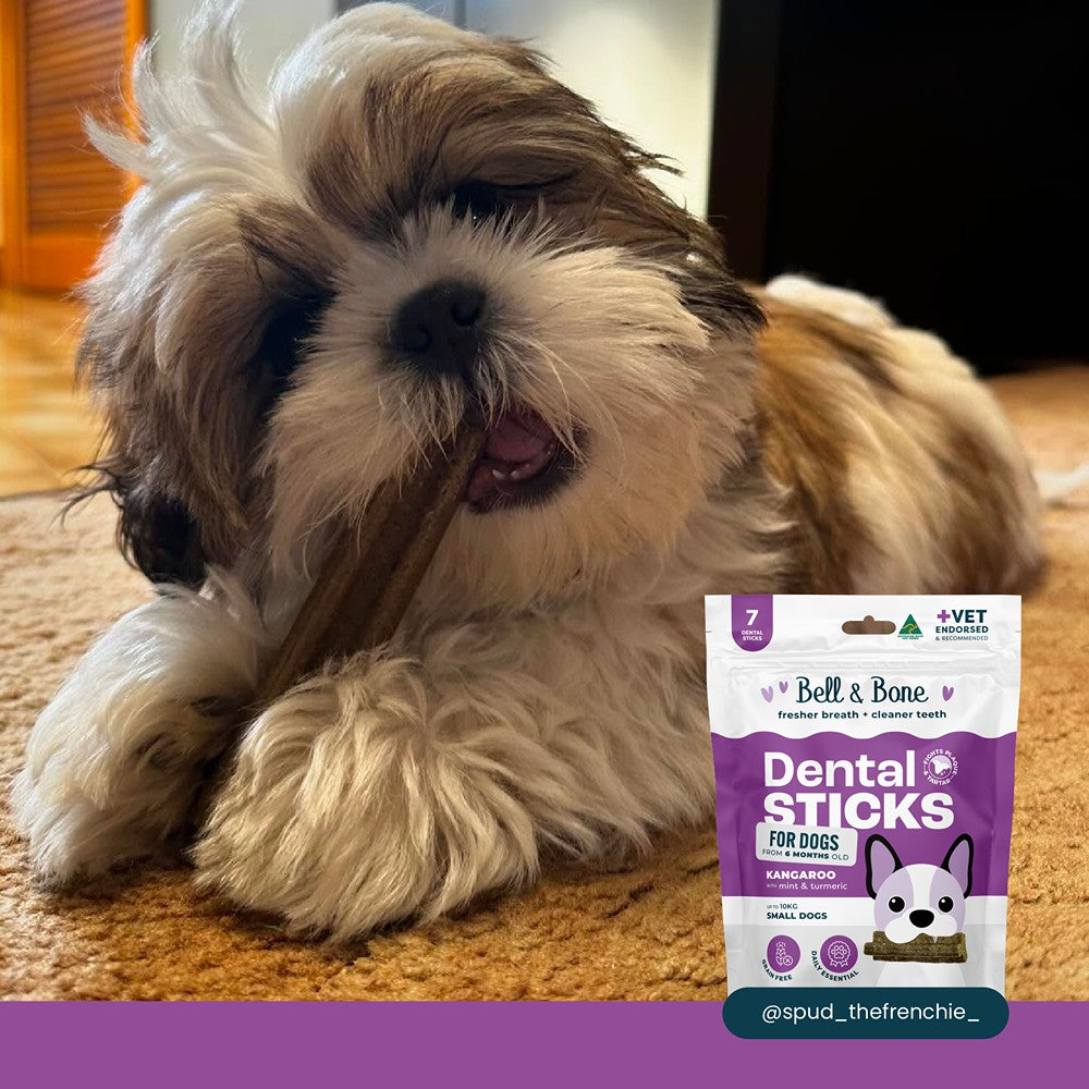 Bell & Bone Roo & Turmeric Dental Sticks Dog Treats