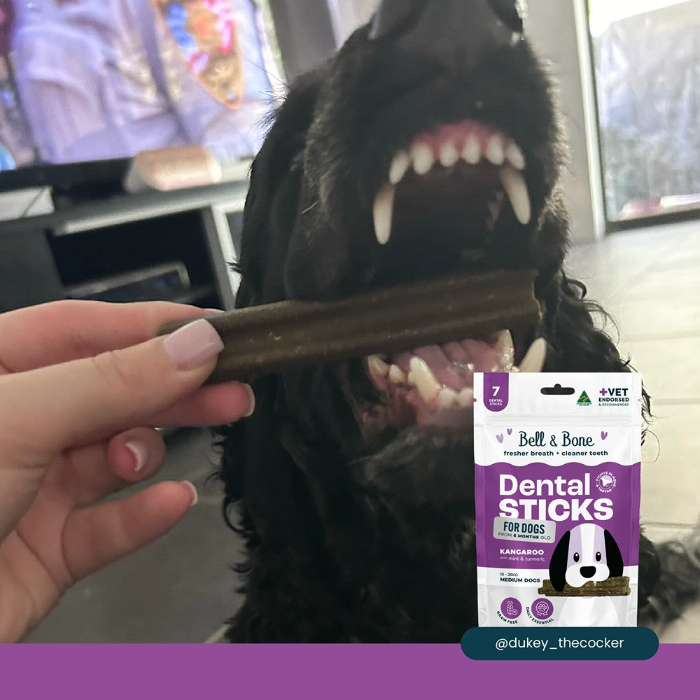 Bell & Bone Roo & Turmeric Dental Sticks Dog Treats