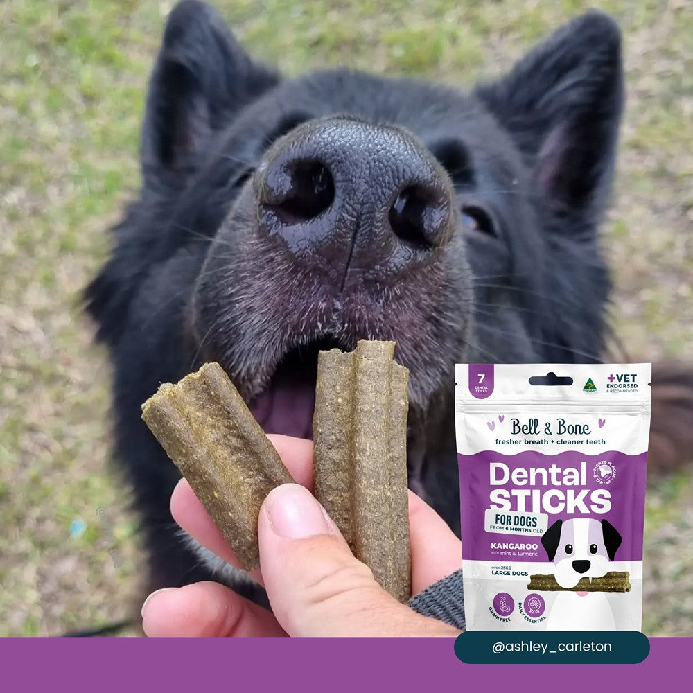 Bell & Bone Roo & Turmeric Dental Sticks Dog Treats