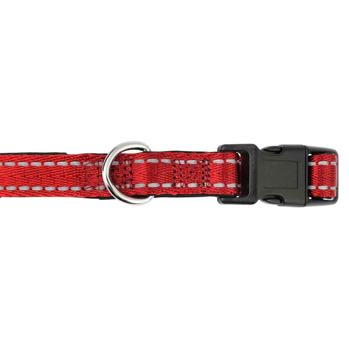 Lexi & Me Nylon Dog Collar
