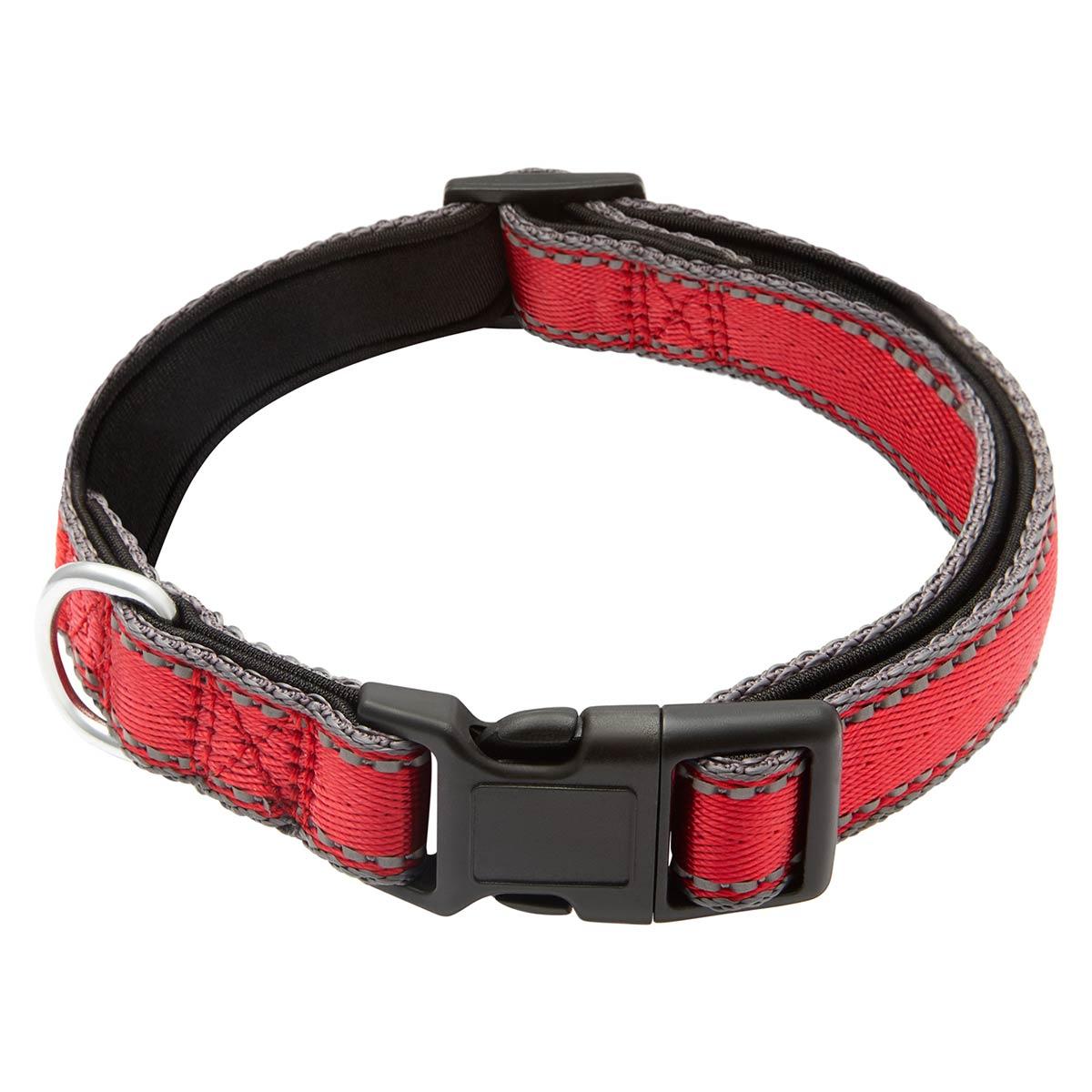 Lexi & Me Nylon Dog Collar