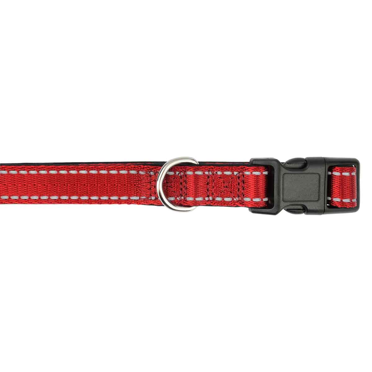 Lexi & Me Nylon Dog Collar
