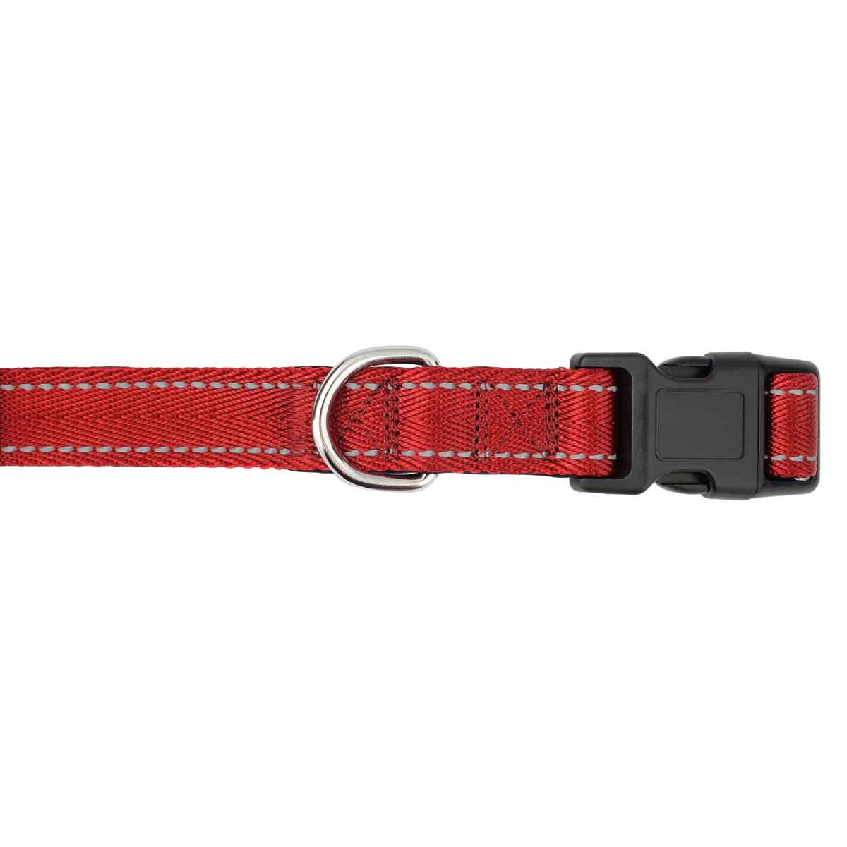 Lexi & Me Nylon Dog Collar