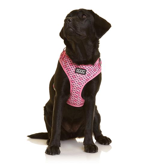 DOOG Neoflex Dog Harness Toto