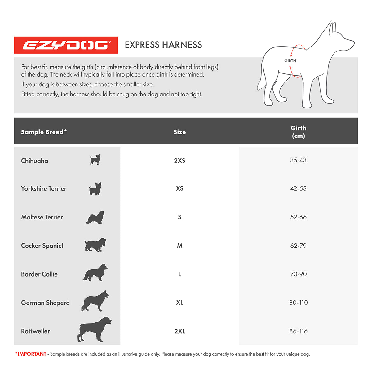 EzyDog Express Dog Harness