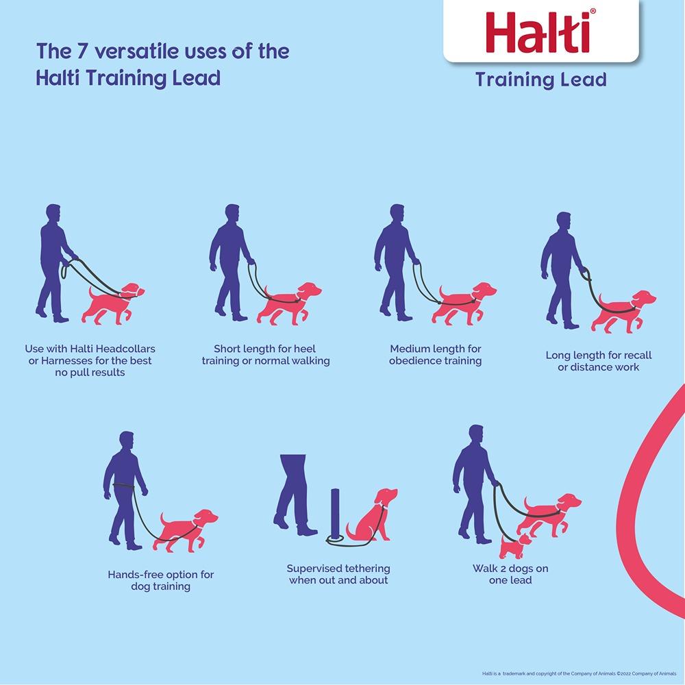 Halti Training Dog Lead Black