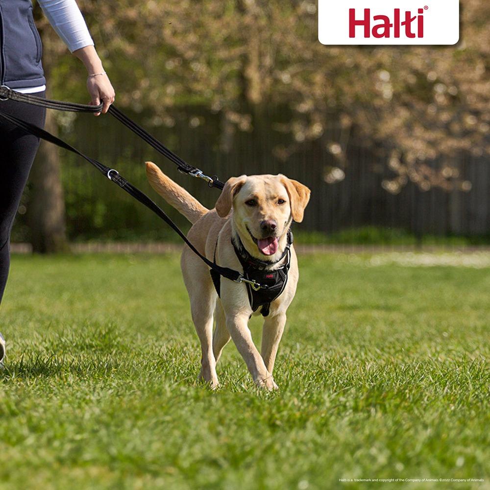 Halti Training Dog Lead Black