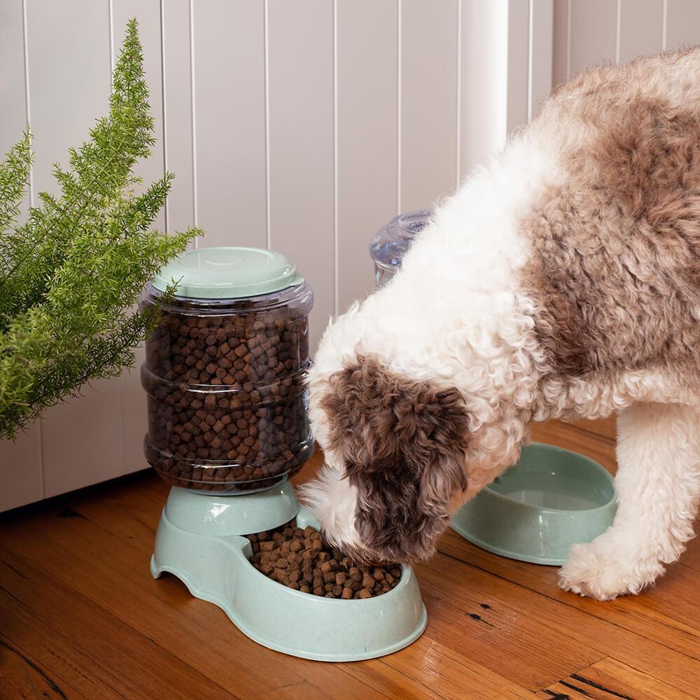 Lexi & Me Gravity Feeder 3.5L