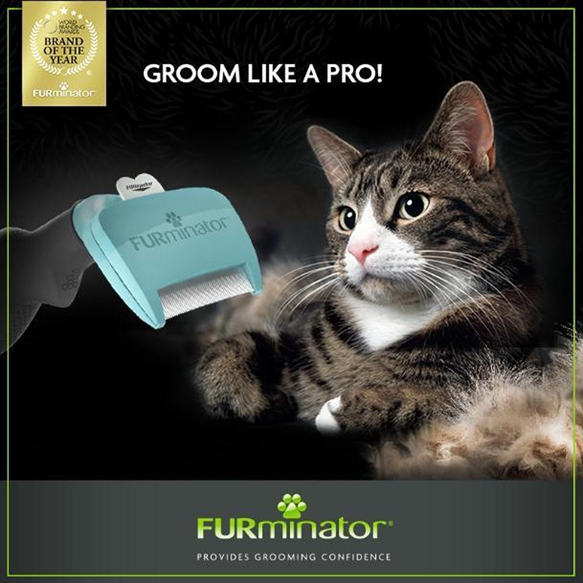 Furminator Short Hair Cat Brush Deshedding Tool