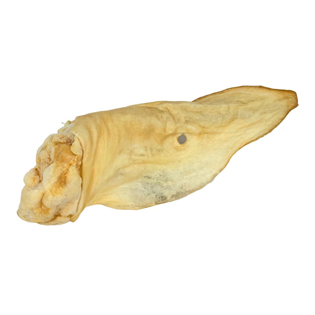 Evolution Naturals Venison Ear Dog Treat
