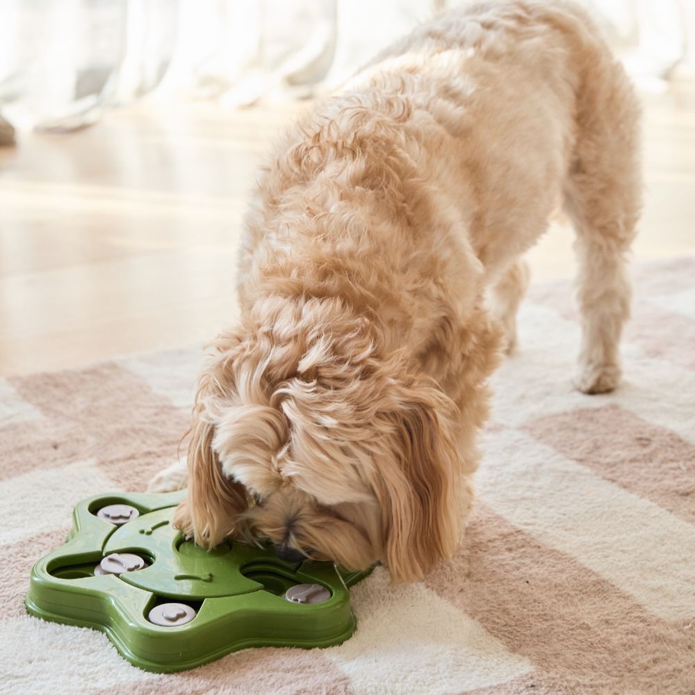 Buddy & Belle Dog Treat Puzzle