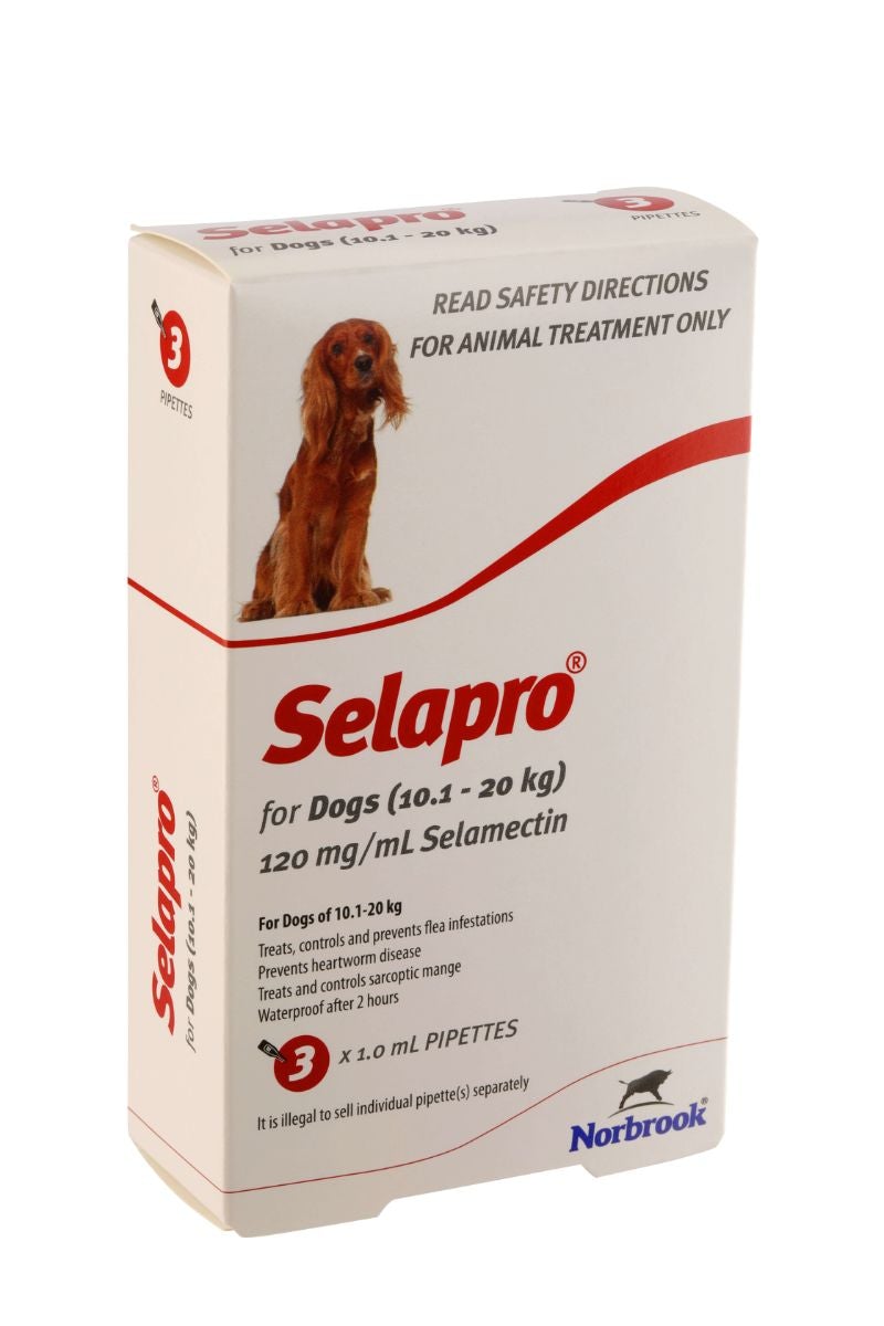 Selapro Large Breed 10-20kg Flea & Worming Spot-On Dog Treatment