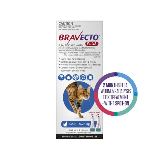 Bravecto Plus Flea, Tick & Worming Treatment Medium Cat