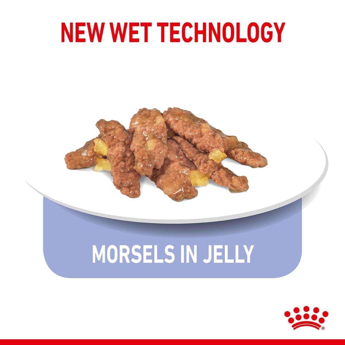 Royal Canin Indoor Sterilised Jelly Wet Cat Food